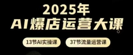 2025年AI爆店运营大课，13节AI实操课+37节流量运营课-HEIXMI（中国站）