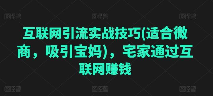 互联网引流实战技巧(适合微商，吸引宝妈)，宅家通过互联网赚钱-HEIXMI（中国站）