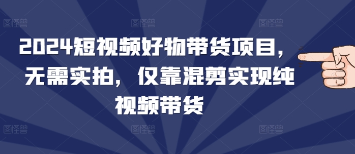 2024短视频好物带货项目，无需实拍，仅靠混剪实现纯视频带货-HEIXMI（中国站）