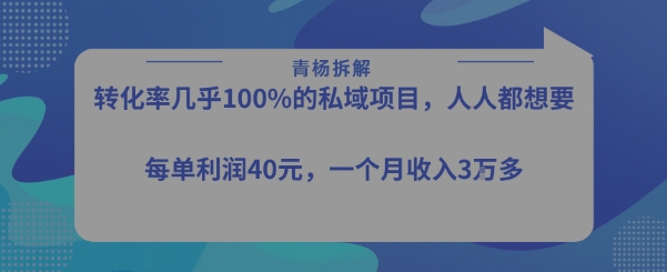 转化率最高的私域项目，每单利润40-50米，月入过1w-HEIXMI（中国站）