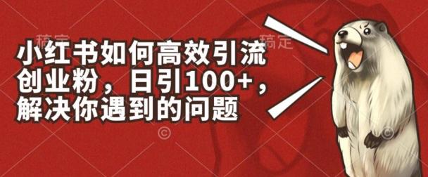 小红书如何高效引流创业粉，日引100+，解决你遇到的问题【揭秘】-HEIXMI（中国站）