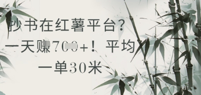 抄书在小红薯平台？平均一单30米，一天收益几张！-HEIXMI（中国站）