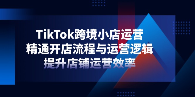 TikTok跨境小店运营，精通开店流程与运营逻辑，提升店铺运营效率-HEIXMI（中国站）