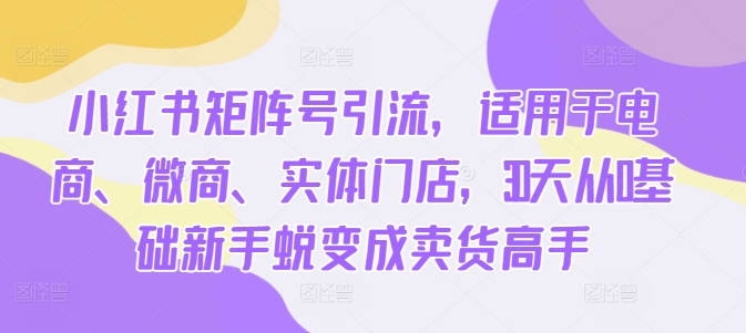 小红书矩阵号引流，适用于电商、微商、实体门店，30天从0基础新手蜕变成卖货高手-HEIXMI（中国站）