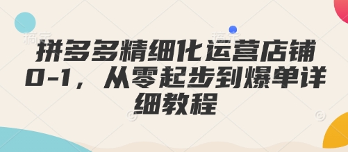 拼多多精细化运营店铺0-1，从零起步到爆单详细教程-HEIXMI（中国站）