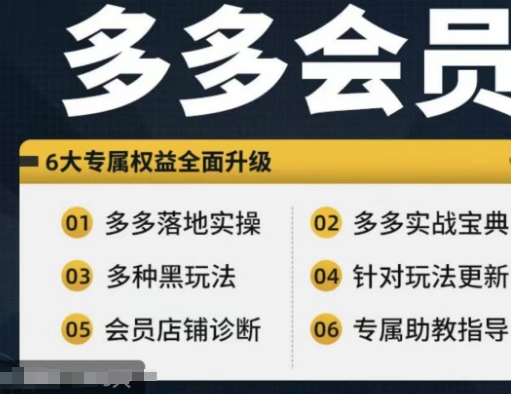 拼多多会员，拼多多实战宝典+实战落地实操，从新手到高阶内容全面覆盖-HEIXMI（中国站）
