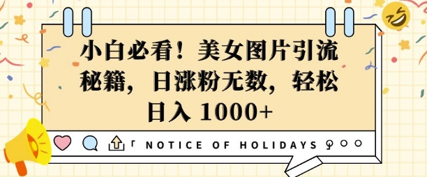 小白必看，美女图片引流秘籍，日涨粉无数，轻松日入几张【揭秘】-HEIXMI（中国站）