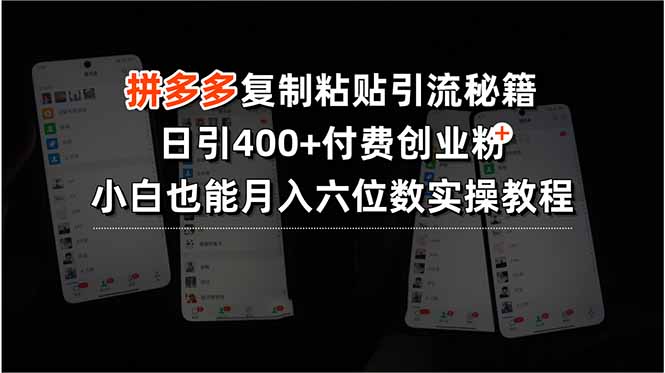 拼多多复制粘贴引流秘籍，日引400+付费创业粉，小白也能月入六位数实操…-HEIXMI（中国站）