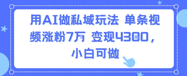 用AI做私域玩法，单条视频涨粉7W变现4.3k，小白可做-HEIXMI（中国站）