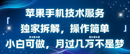 苹果手机技术服务，独家拆解，操作简单，小白可做，月过1W不是梦-HEIXMI（中国站）