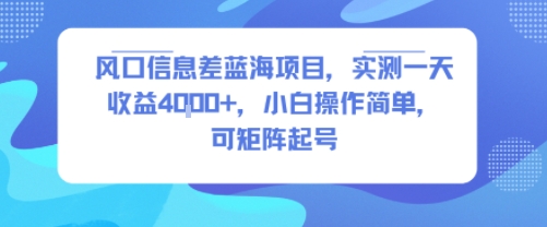 风口信息差蓝海项目，实测一天收益4k+，小白操作简单，可矩阵起号-HEIXMI（中国站）