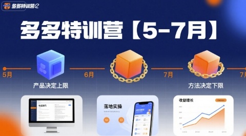 多多特训营【5-7月】产品决定上限，方法决定下限，各种玩法技巧落地实操-HEIXMI（中国站）
