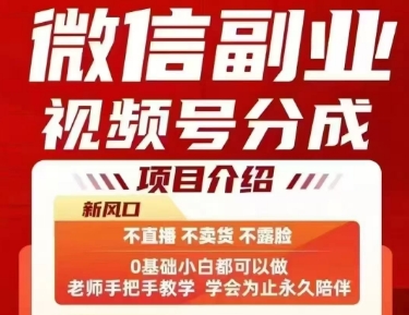 微信副业视频号分成，不直播 不卖货 不露脸，三五分钟即可完成一条作，每日收益几十、几张不等-HEIXMI（中国站）