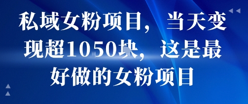 私域女粉项目，当天变现超1k，这是最好做的女粉项目，可放大操作-HEIXMI（中国站）