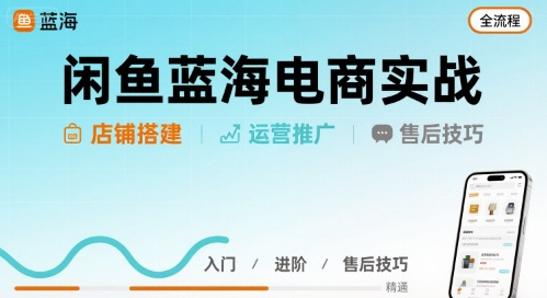 闲鱼蓝海电商实战，店铺搭建运营售后全流程-HEIXMI（中国站）