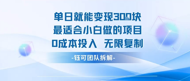 单日就能变现3张最适合小白做的项目0成本投入 无限复制-HEIXMI（中国站）