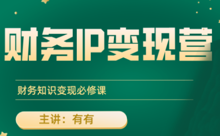 有有老师·财务IP变现营，财务知识变现必修课-HEIXMI（中国站）