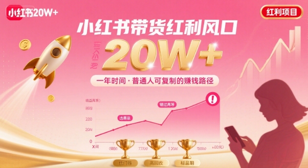 一年时间靠小红书带货项目年入20w+，最不能错的大红利项目-HEIXMI（中国站）