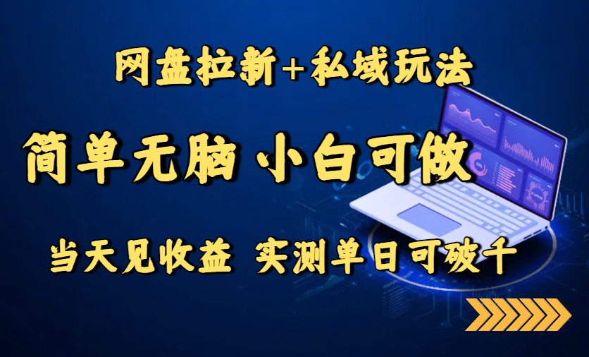 网盘拉新+私域玩法，简单无脑，小白可做，当天见收益，实测单日可破千-HEIXMI（中国站）