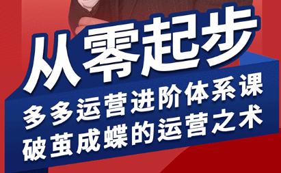 海神·拼多多运营进阶系统课(更新8月)-HEIXMI（中国站）