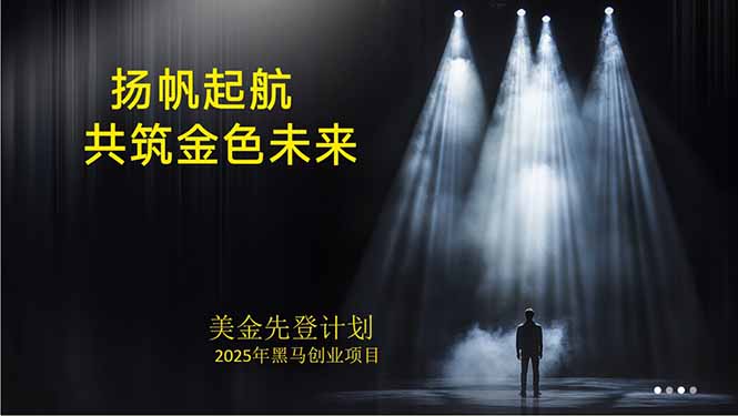 美金对冲创业项目，日收益1000-3000，小众暴力项目稳定运行8年-HEIXMI（中国站）