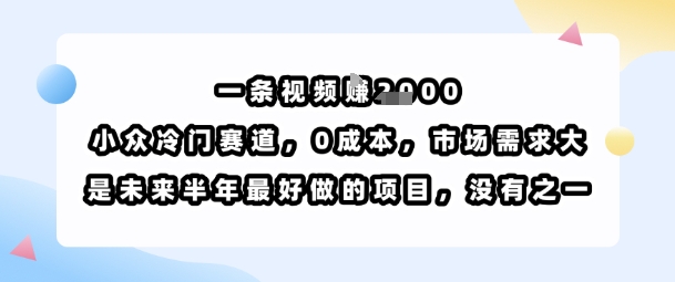一条视频挣1k，小众冷门赛道，0成本，市场需求大，是未来半年最好做的项目，没有之一-HEIXMI（中国站）