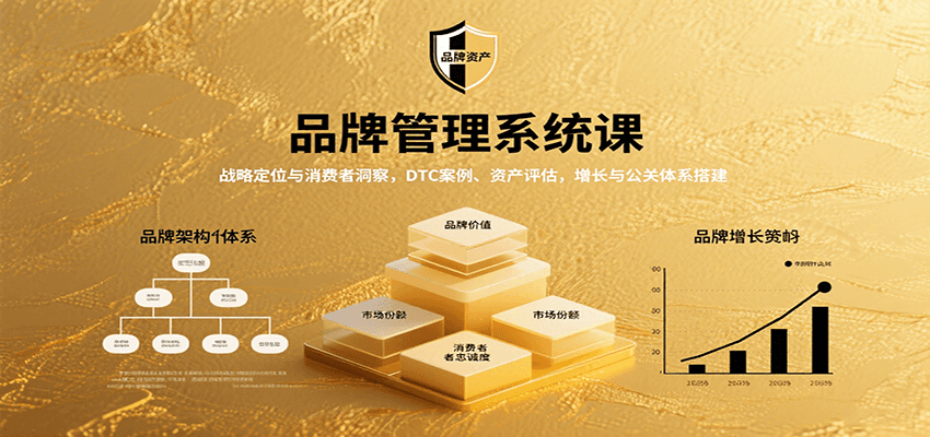 品牌管理系统课：战略定位与消费者洞察，DTC案例、资产评估，增长与公关体系搭建-HEIXMI（中国站）
