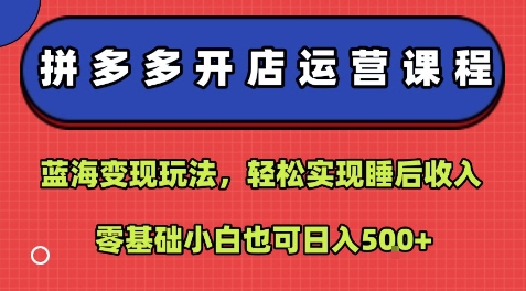 拼多多开店运营课程：蓝海变现玩法，轻松实现睡后收入，零基础小白也可日入5张-HEIXMI（中国站）