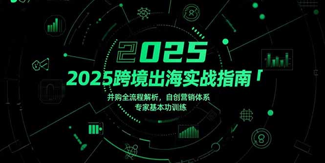 2025跨境出海实战指南，并购全流程解析，自创营销体系，专家基本功训练-HEIXMI（中国站）