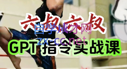 六叔的AI指令实战课(更新7月)-HEIXMI（中国站）