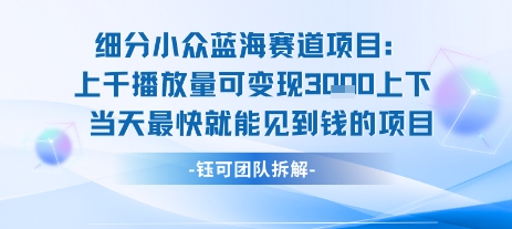 小众蓝海赛道项目：当天变现1k+适合新手操作 +适合长期玩-HEIXMI（中国站）