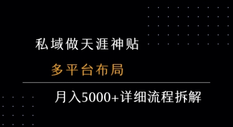 私域做天涯神贴 多平台布局 月入5k+详细流程拆解-HEIXMI（中国站）