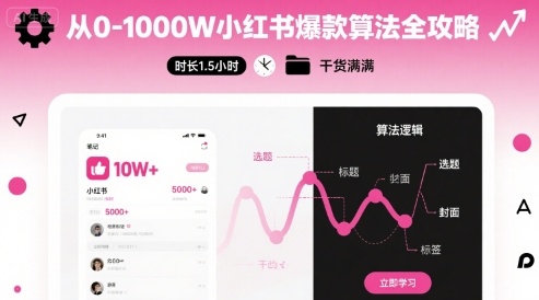 从0-1000W小红书爆款算法全攻略，时长1.5小时，干货满满-HEIXMI（中国站）