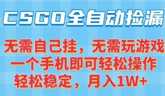 CSGO自动捡漏项目，最新独家玩法，一个手机可操作，新手小白轻松月入1W+，操作简单易上手【揭秘】-HEIXMI（中国站）