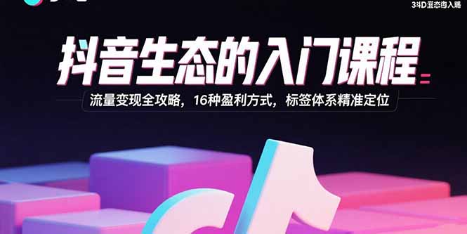 抖音生态的入门课程：流量变现全攻略，16种盈利方式，标签体系精准定位-HEIXMI（中国站）
