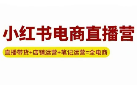 申铭老师·小红书电商直播营(更新)-HEIXMI（中国站）