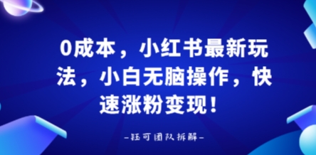 0成本，小红书最新玩法，小白无脑操作，快速涨粉变现-HEIXMI（中国站）
