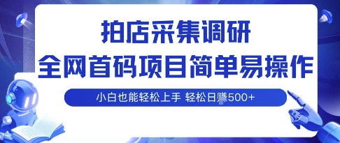 拍店采集调研，全网首码项目，简单易操作， 小白也能轻松上手，多账号操作，轻松日入5张【揭秘】-HEIXMI（中国站）