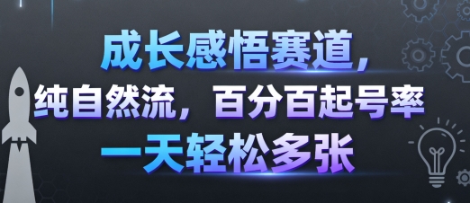 成长感悟赛道，纯自然流，百分百起号率 一天轻松多张-HEIXMI（中国站）