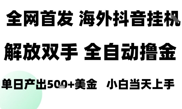 海外抖音无人直播，单日产出1.5k+，长期稳定，新手可玩，无脑操作【揭秘】-HEIXMI（中国站）