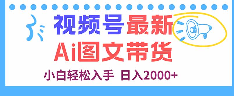 视频号最新AI图文带货，每天几分钟，小白轻松入手，日入2000+-HEIXMI（中国站）
