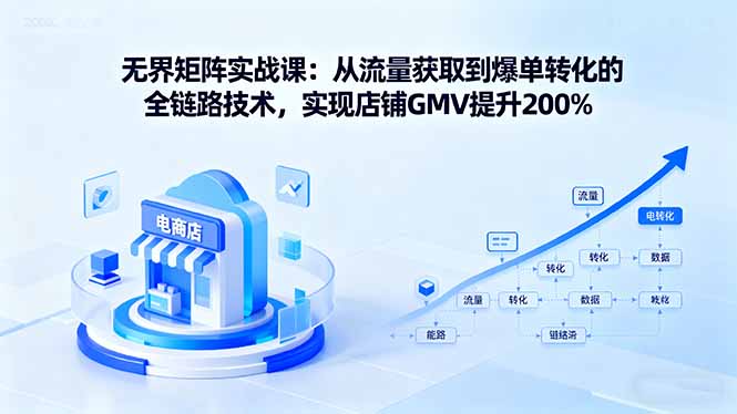 无界矩阵实战课：从流量获取到爆单转化的全链路技术，实现店铺GMV提升200%-HEIXMI（中国站）