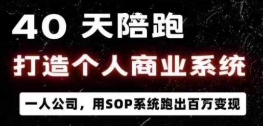 40天陪跑打造个人商业系统，一人公司，用SOP系统跑出百W变现-HEIXMI（中国站）