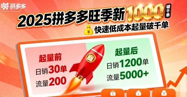 2025拼多多旺季新老店铺——快速低成本起量破千单-HEIXMI（中国站）