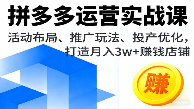 拼多多运营实战课，活动布局、推广玩法、投产优化，打造月入3w+赚钱店铺-HEIXMI（中国站）