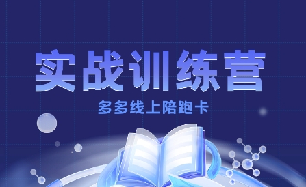 多多实战训练营，从0到1打造一个真正賺钱的店铺-HEIXMI（中国站）