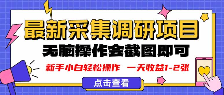 新版采集调研项目，截图上传即可，无脑操作，日收益1-2张-HEIXMI（中国站）