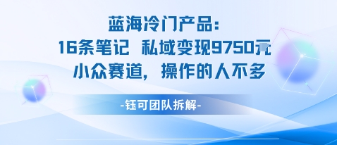 蓝海项目：16条笔记私域变现9750米小众赛道操作的人不多-HEIXMI（中国站）