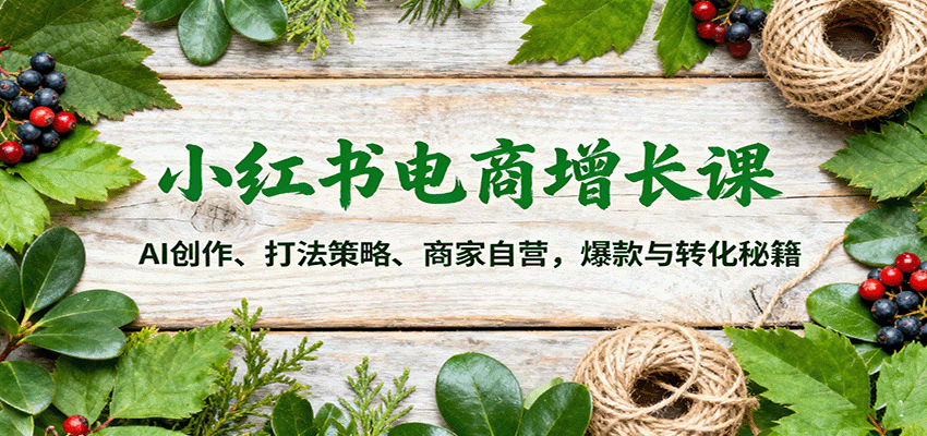 小红书电商增长课：AI创作、打法策略、商家自营，爆款与转化秘籍-HEIXMI（中国站）