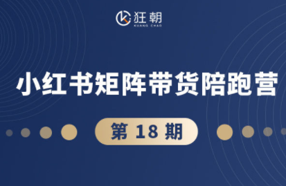 盗坤·抖音小红书视频号短视频带货与直播变现(11-18期)-HEIXMI（中国站）